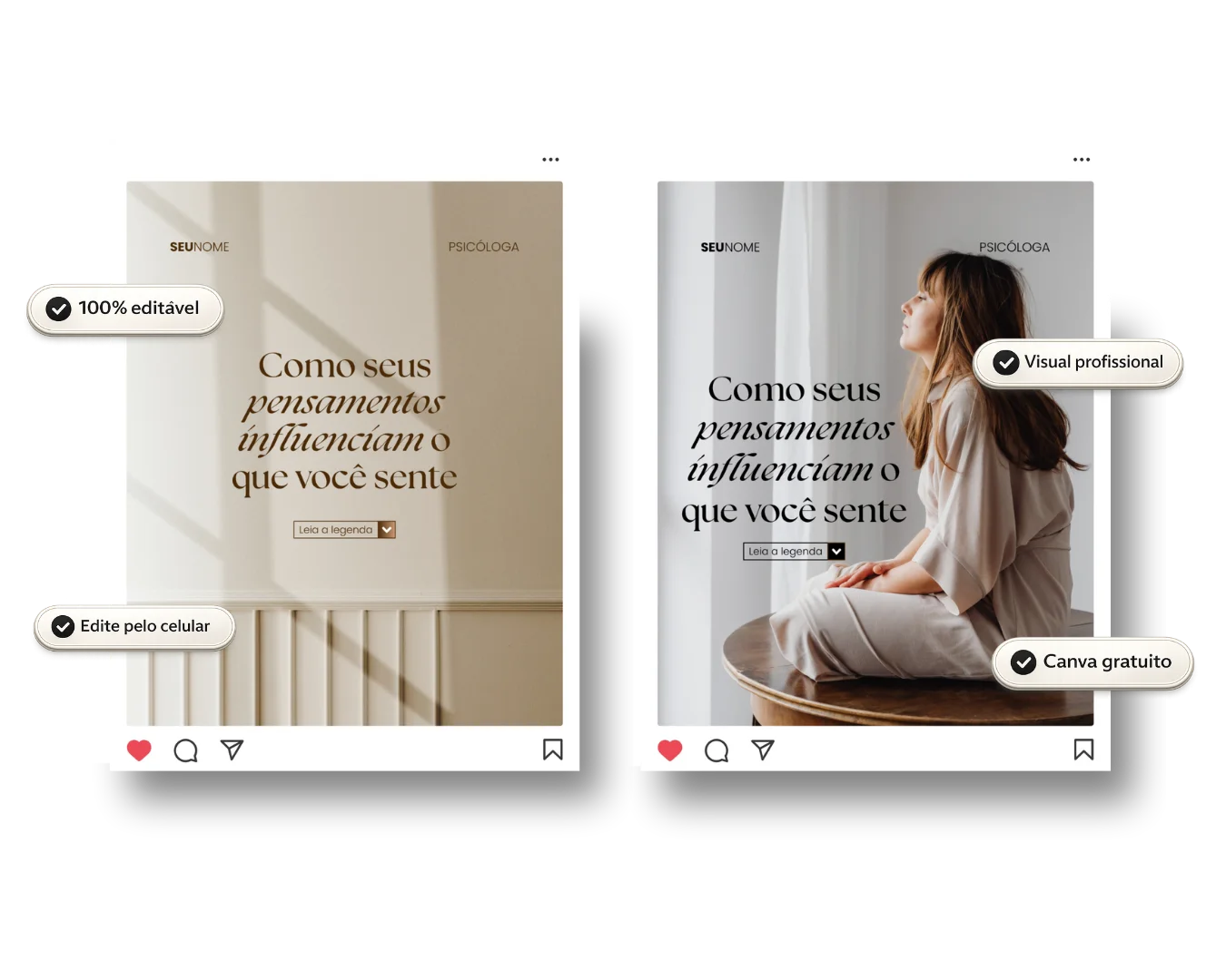 Pack de feed
