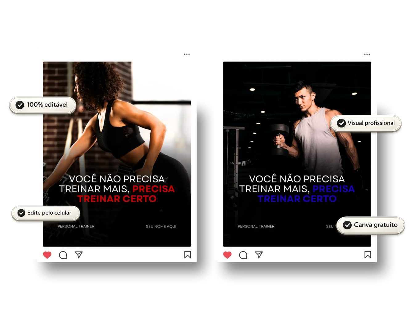 Pack de feed