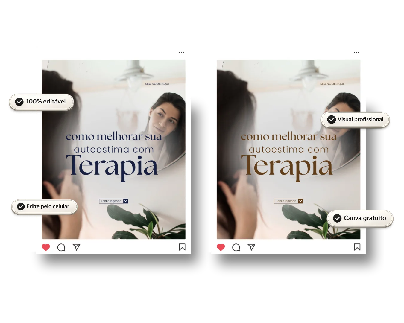 Pack de feed